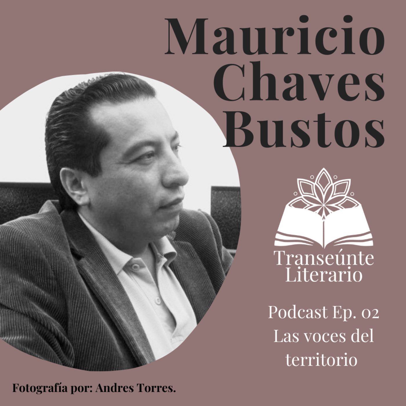 Transeúnte Literario