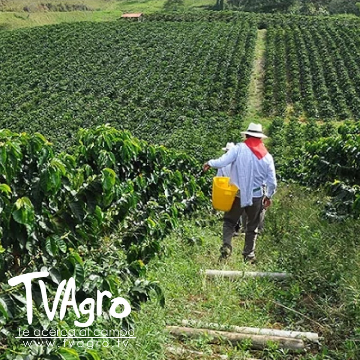 TV AGRO