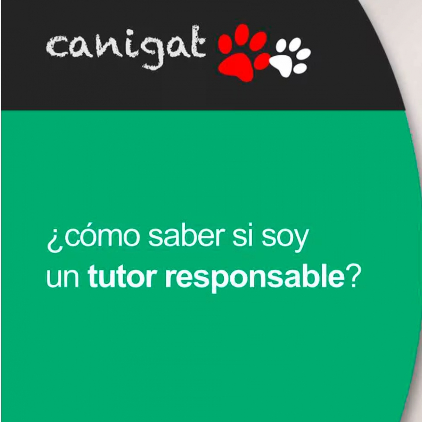 Consejos veterinarios de perros y gatos by canigat