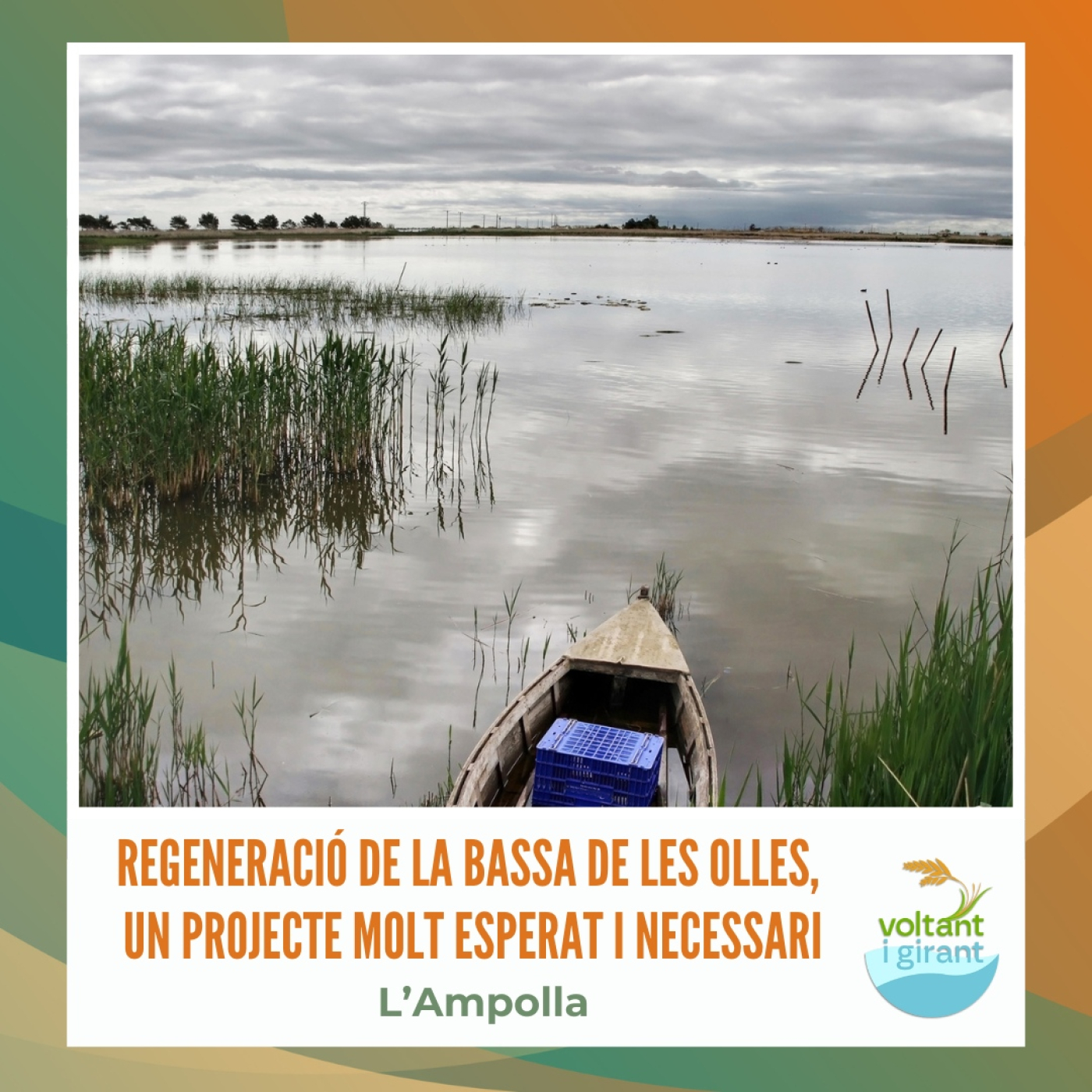 Regeneració de la Bassa de les Olles, un projecte molt esperat i necessari episode artwork