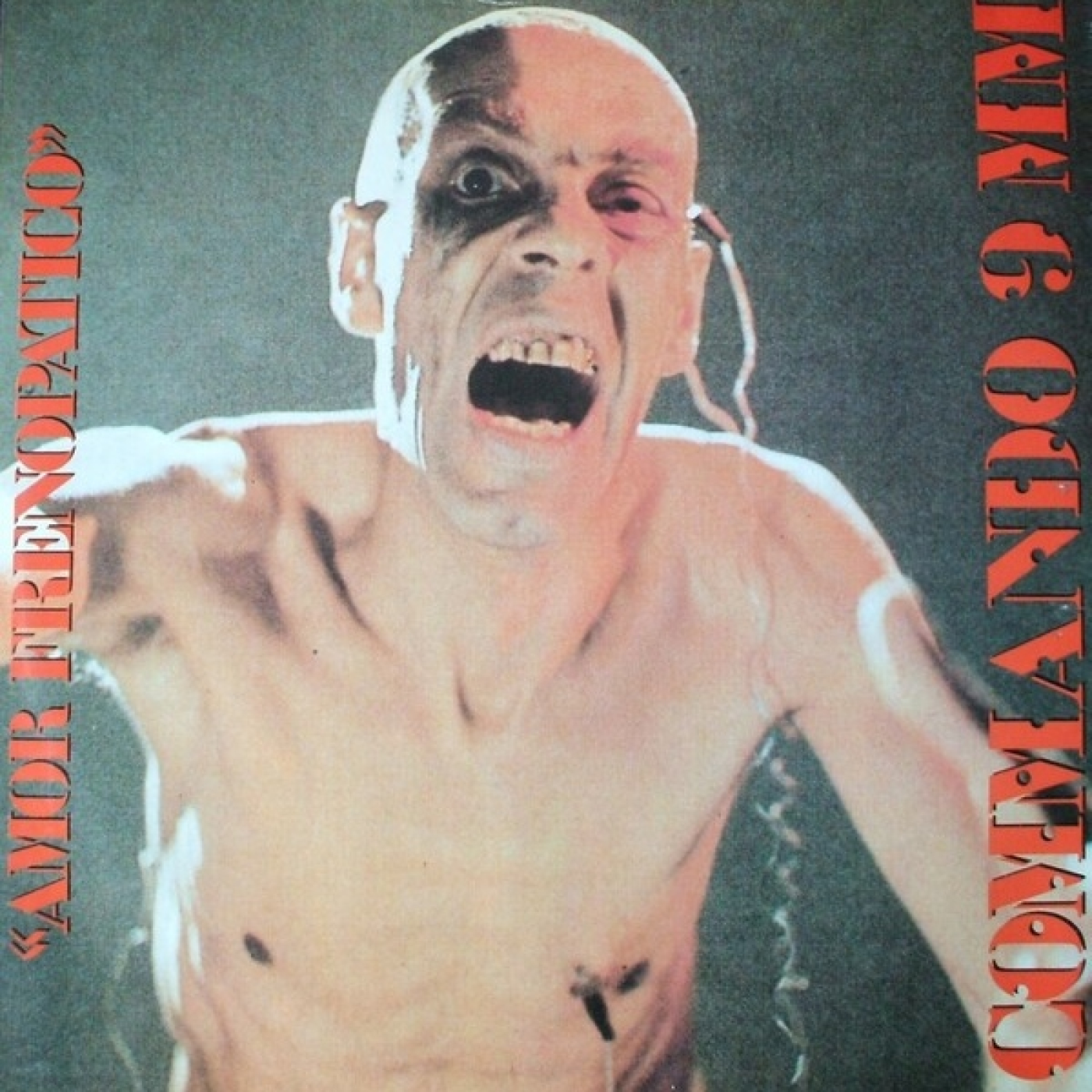 PUNK en castellano