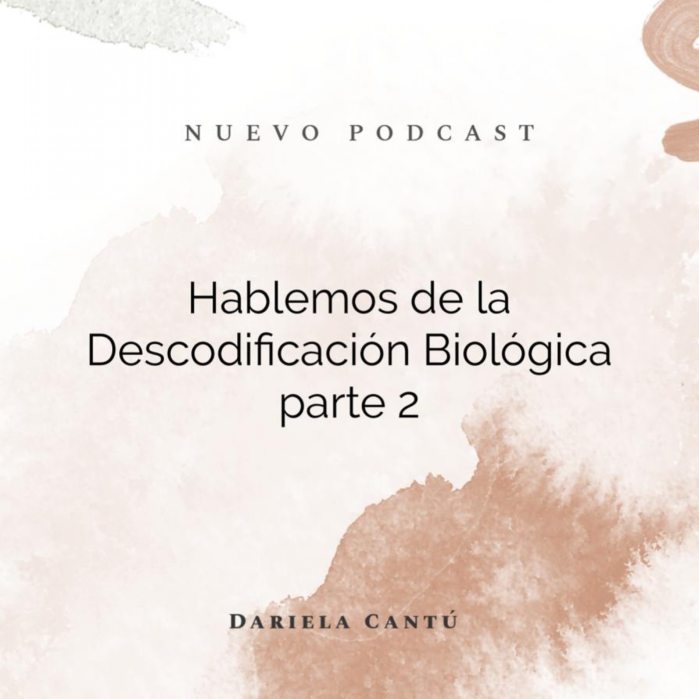 The Holistic Project