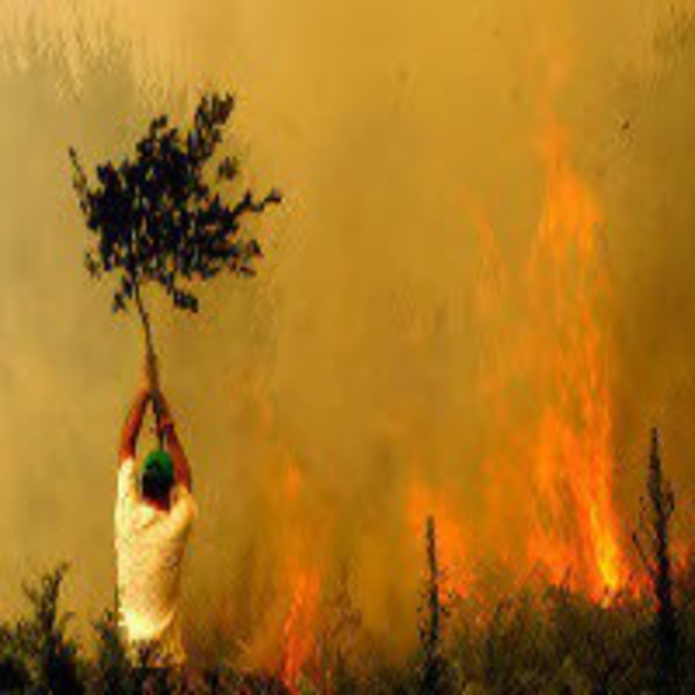 Ecologia