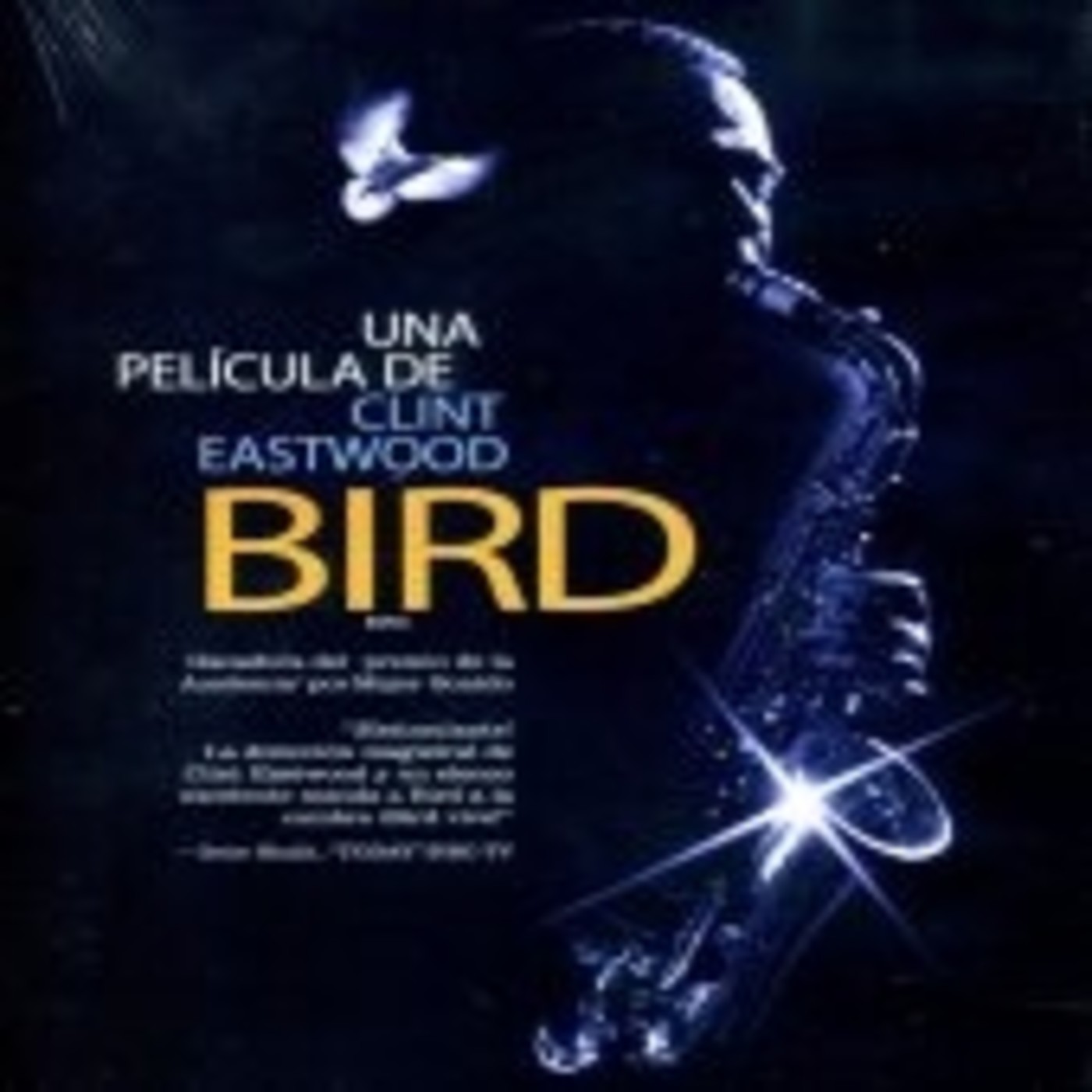 27. Bird - 9-2-2018 27. Bird - 9-2-2018