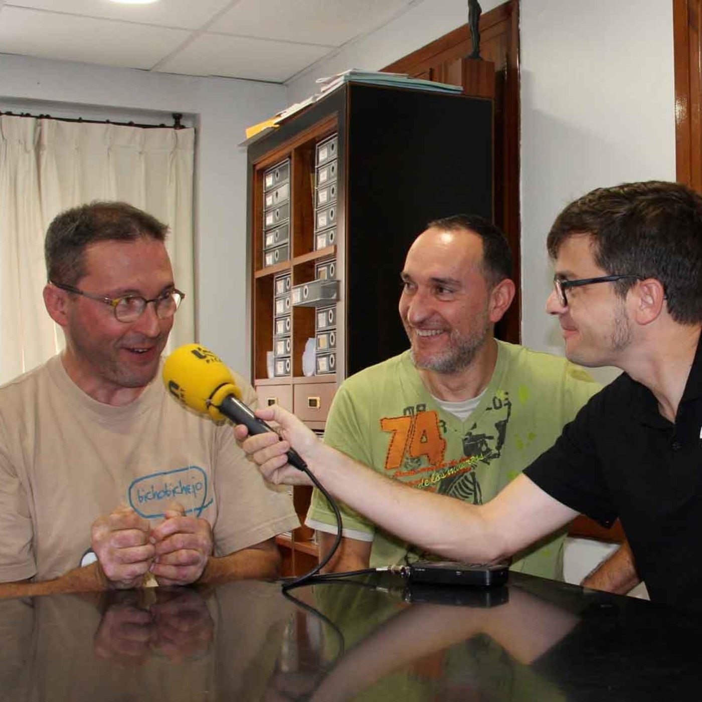 Festes Majors