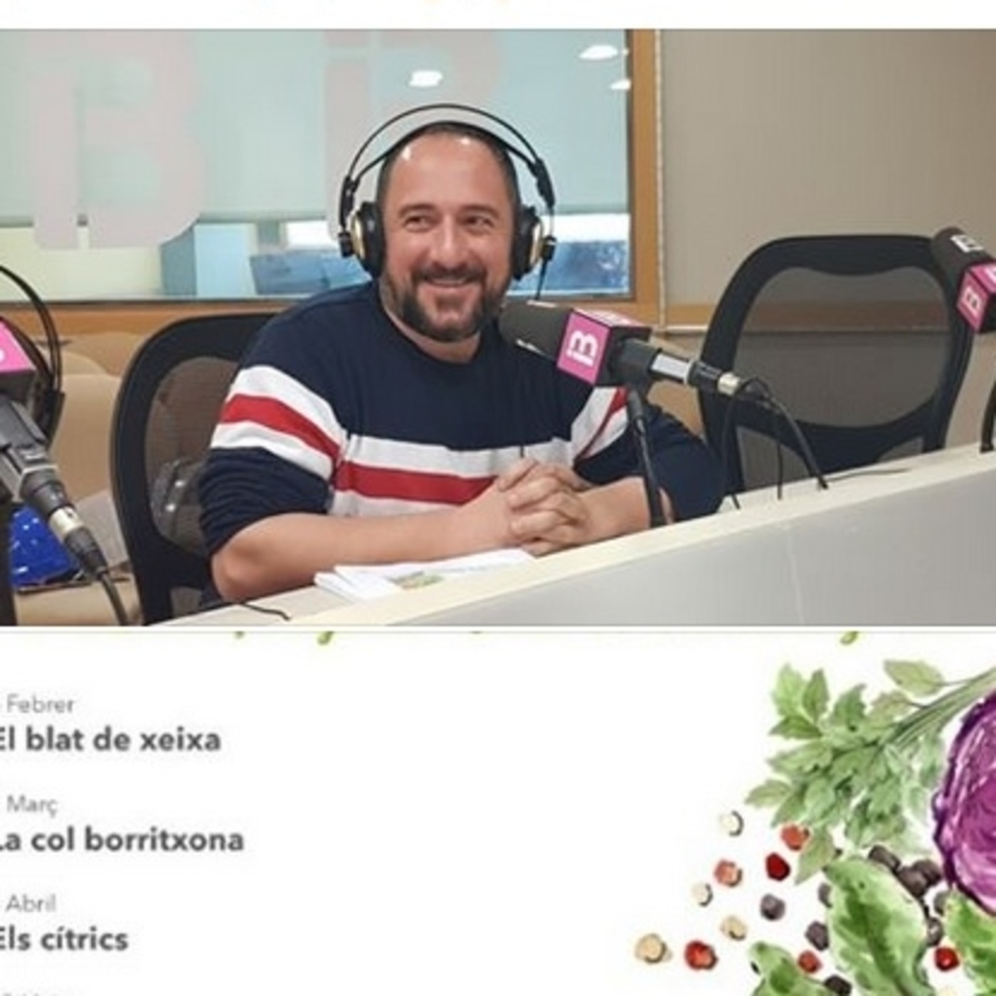 Bons aliments i gastrociència. IB3 Ràdio