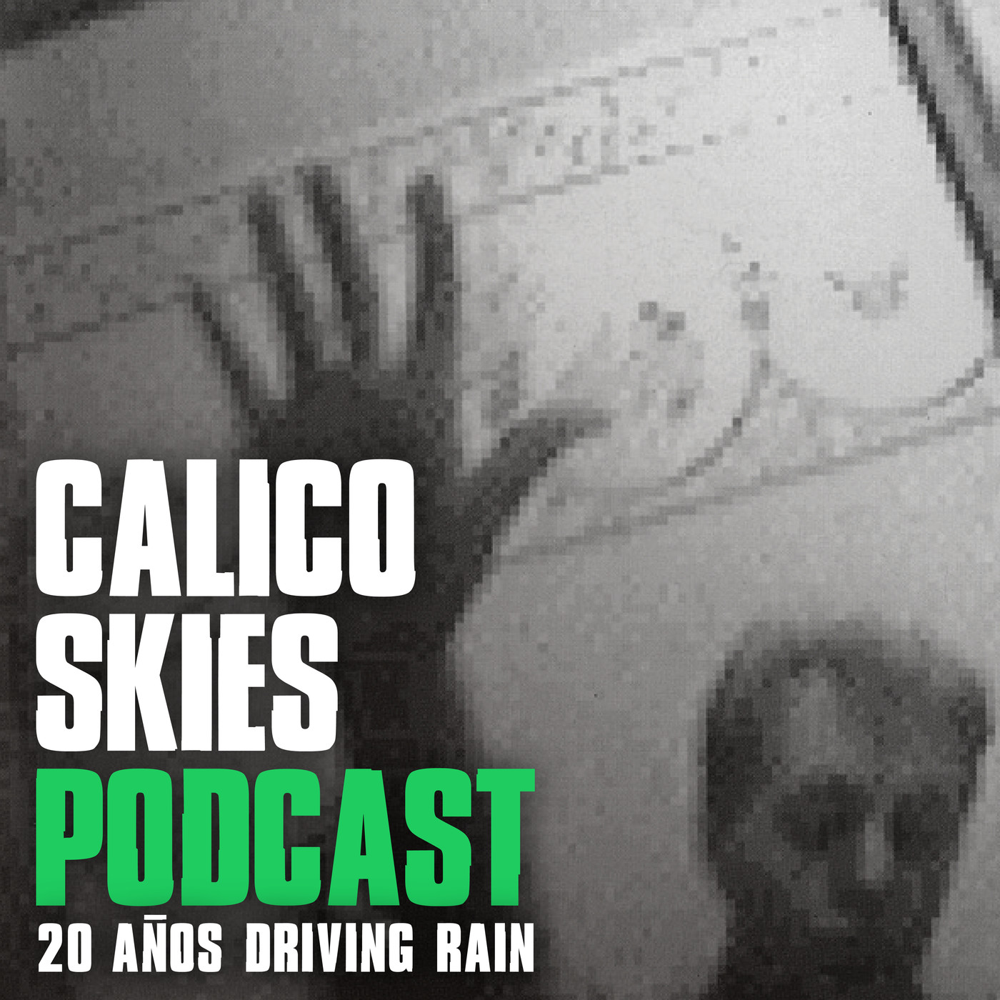 Driving Rain: 20 años de un disco especial episode artwork