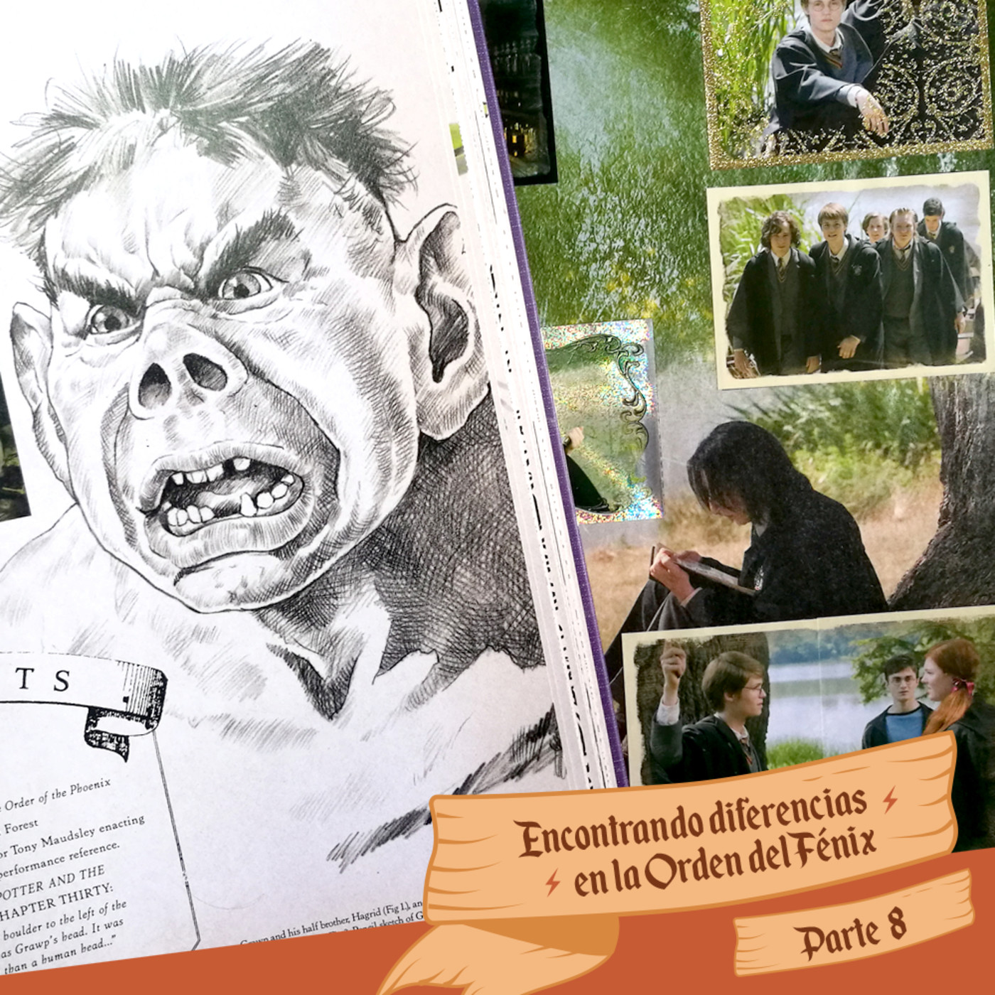 Las Merodeadoras: Libro vs Película de HP - Temp1