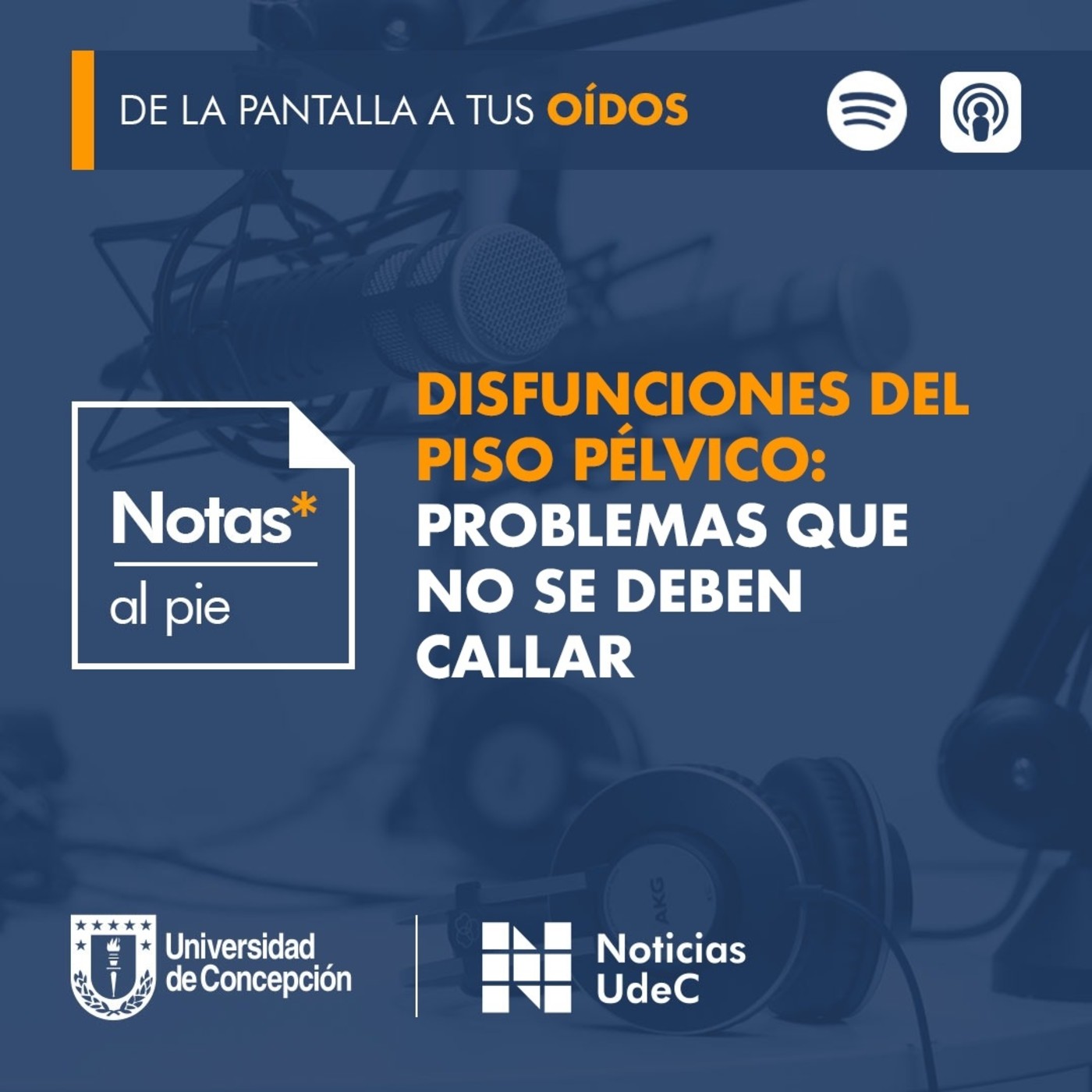 Notas al pie