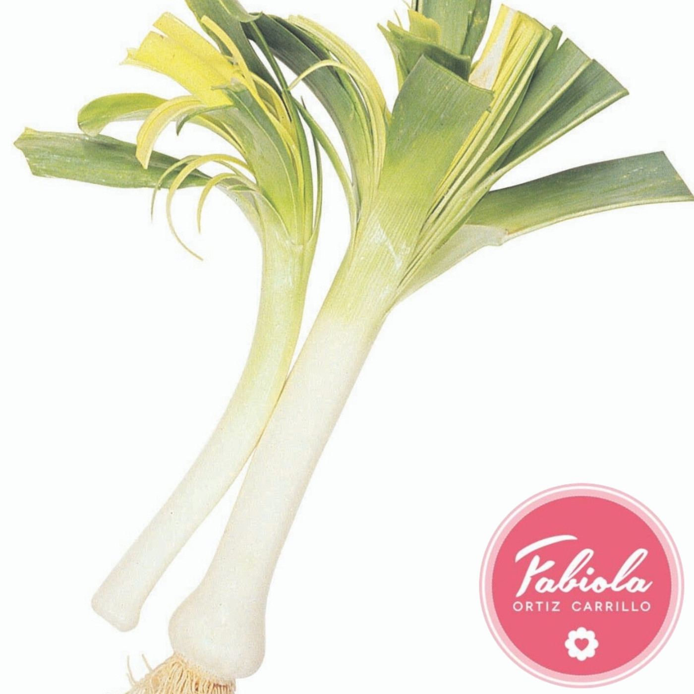 Alimentacion Consciente y Vida Armoniosa