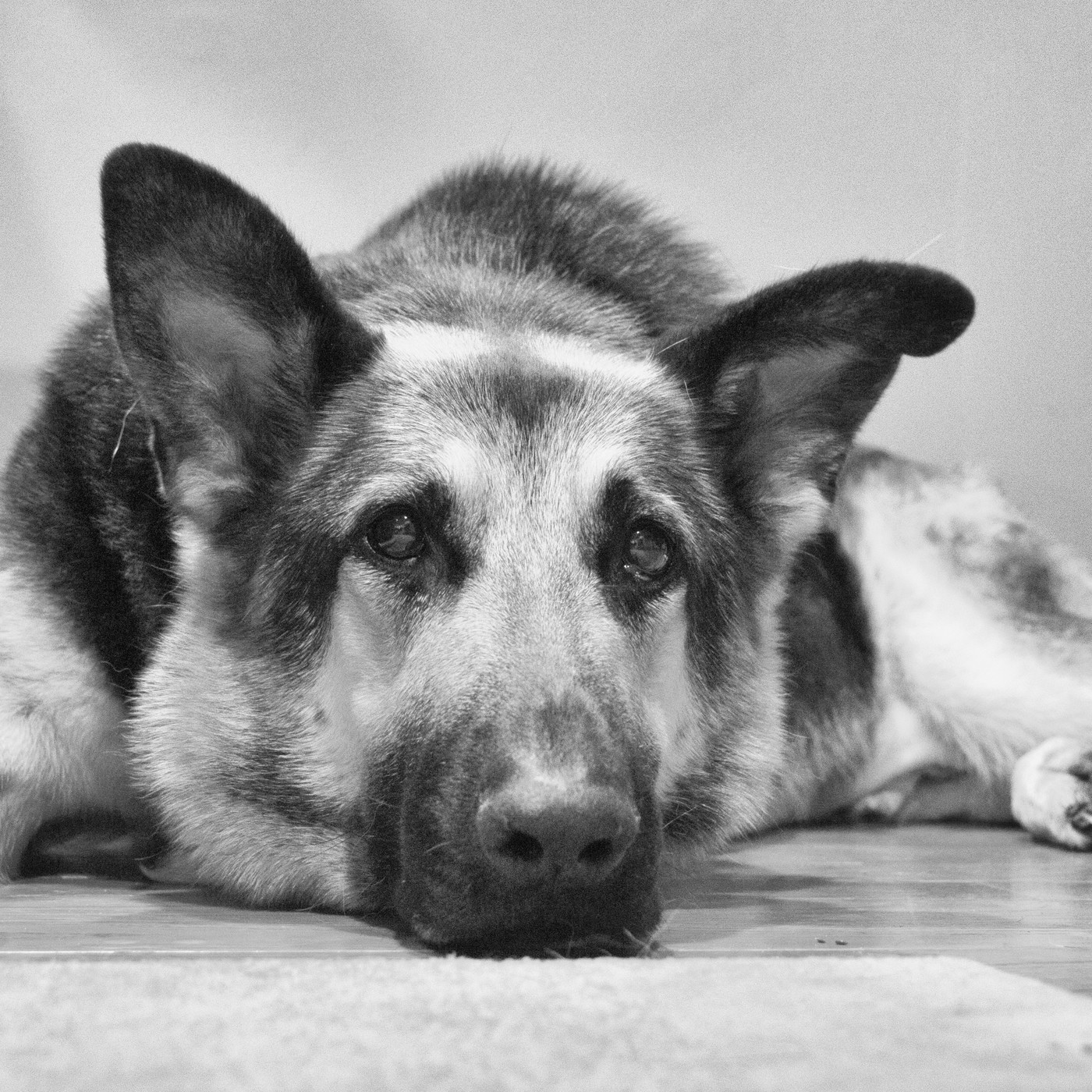 Terror En Los Bordes