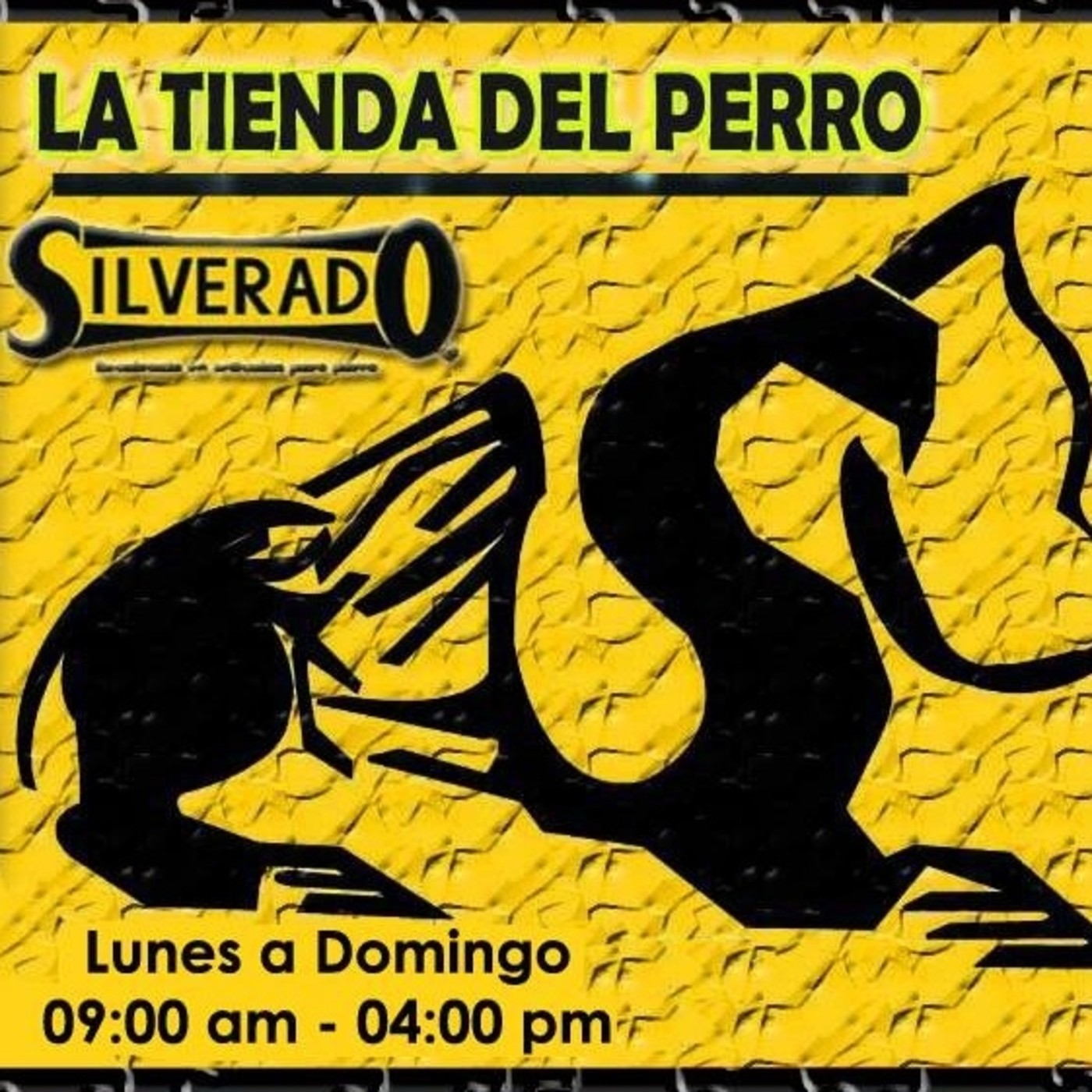 Recomendaciones / BikeRadio