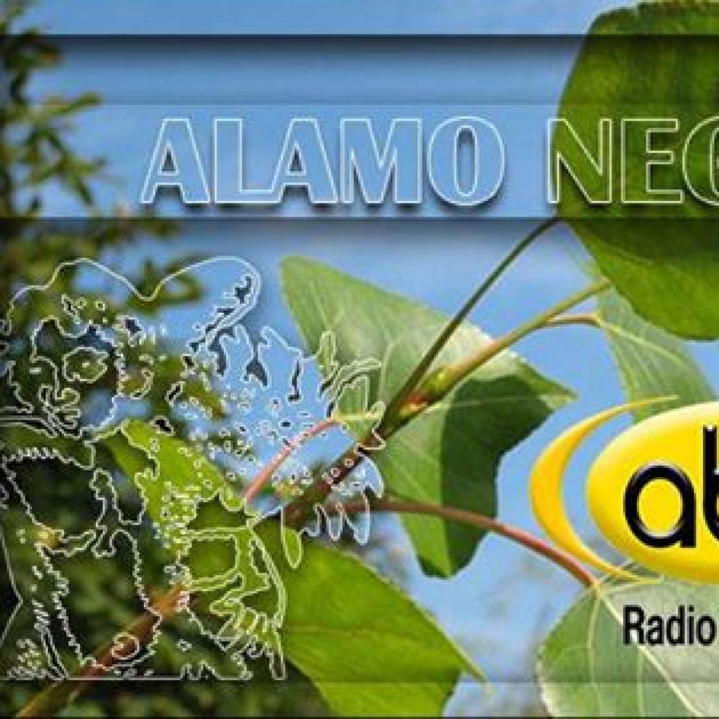 EL ÁNGEL DE TU SALUD- Rodrigo Mondragón - ALAMO NEGRO episode artwork