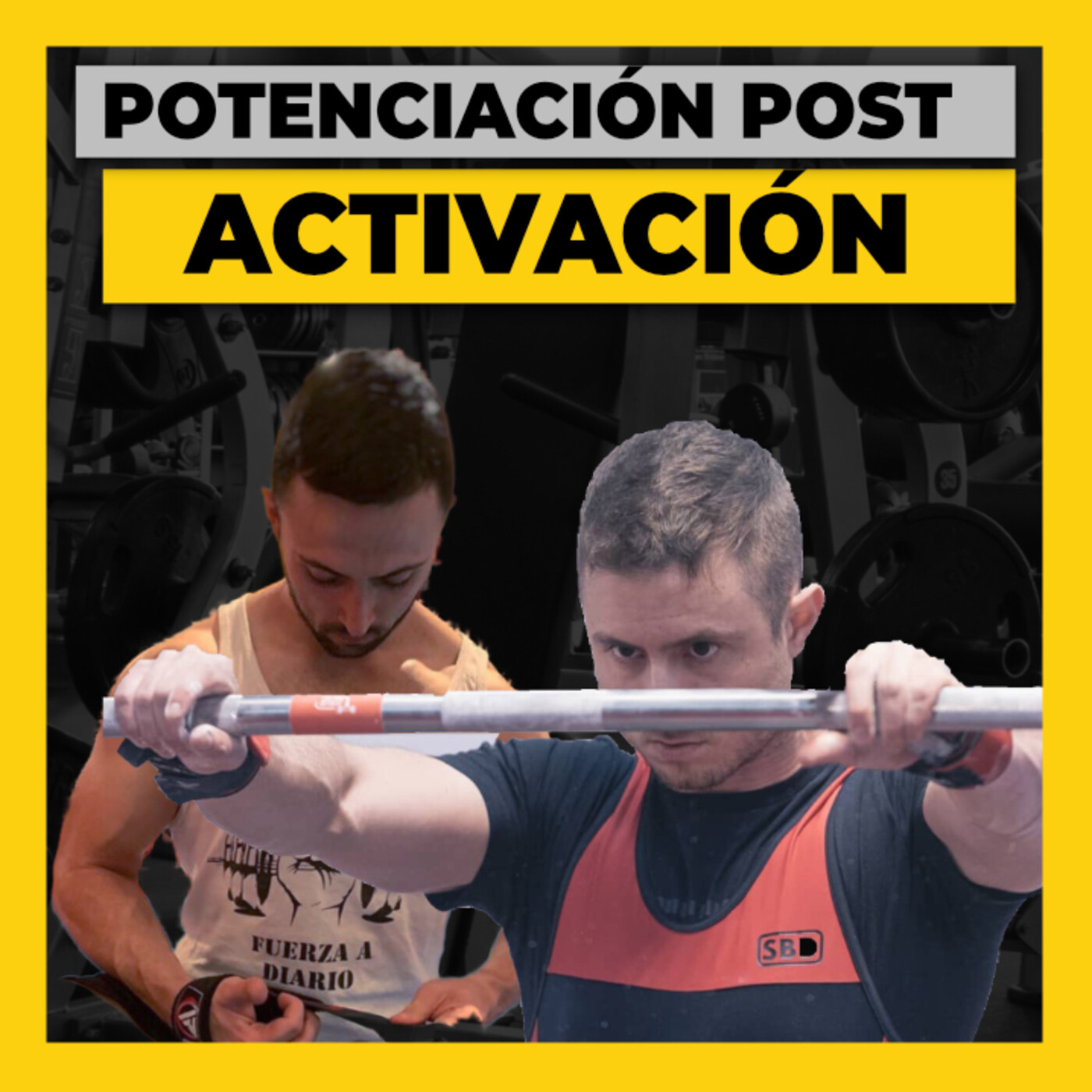 Fit Generation