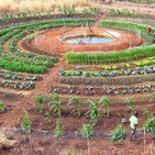 Agricultura colectiva: Soluciones para desafíos sociales y ambientales