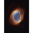 La pseudo-ciencia del evolucionismo