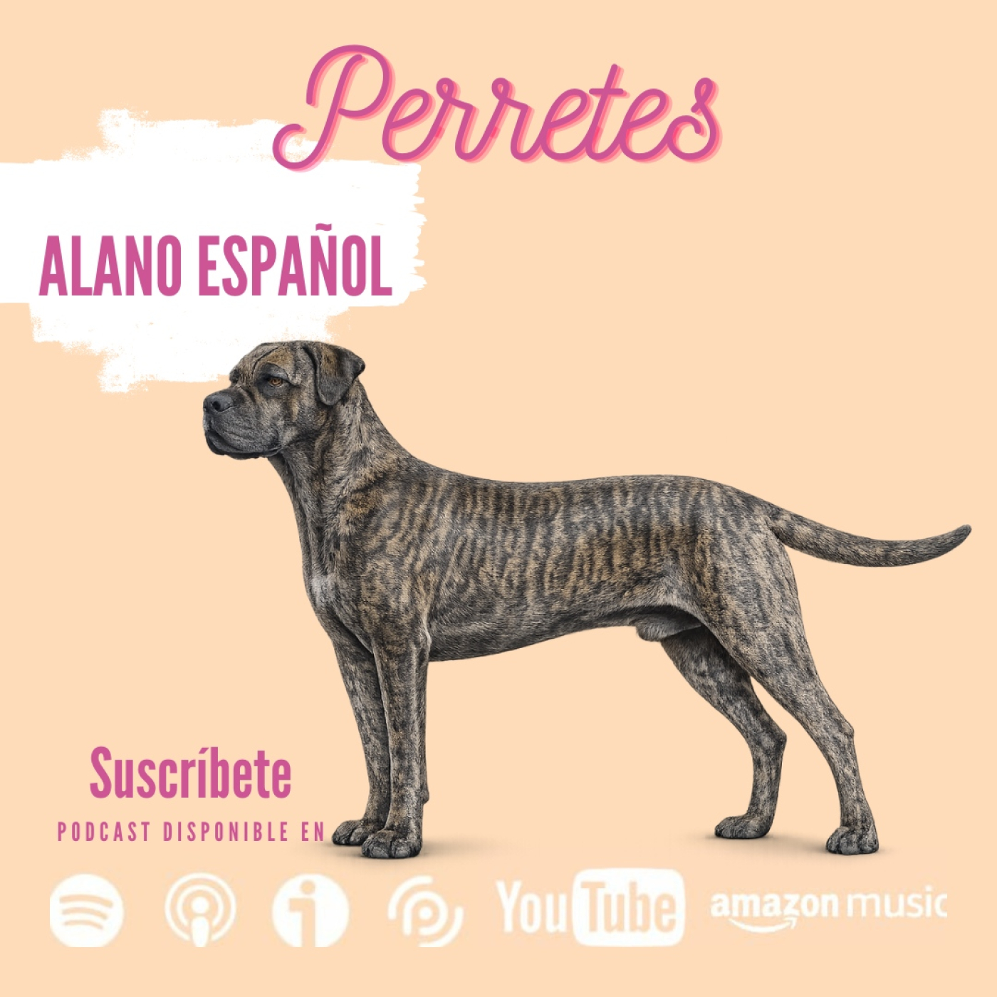 Ep108: Alano español episode artwork