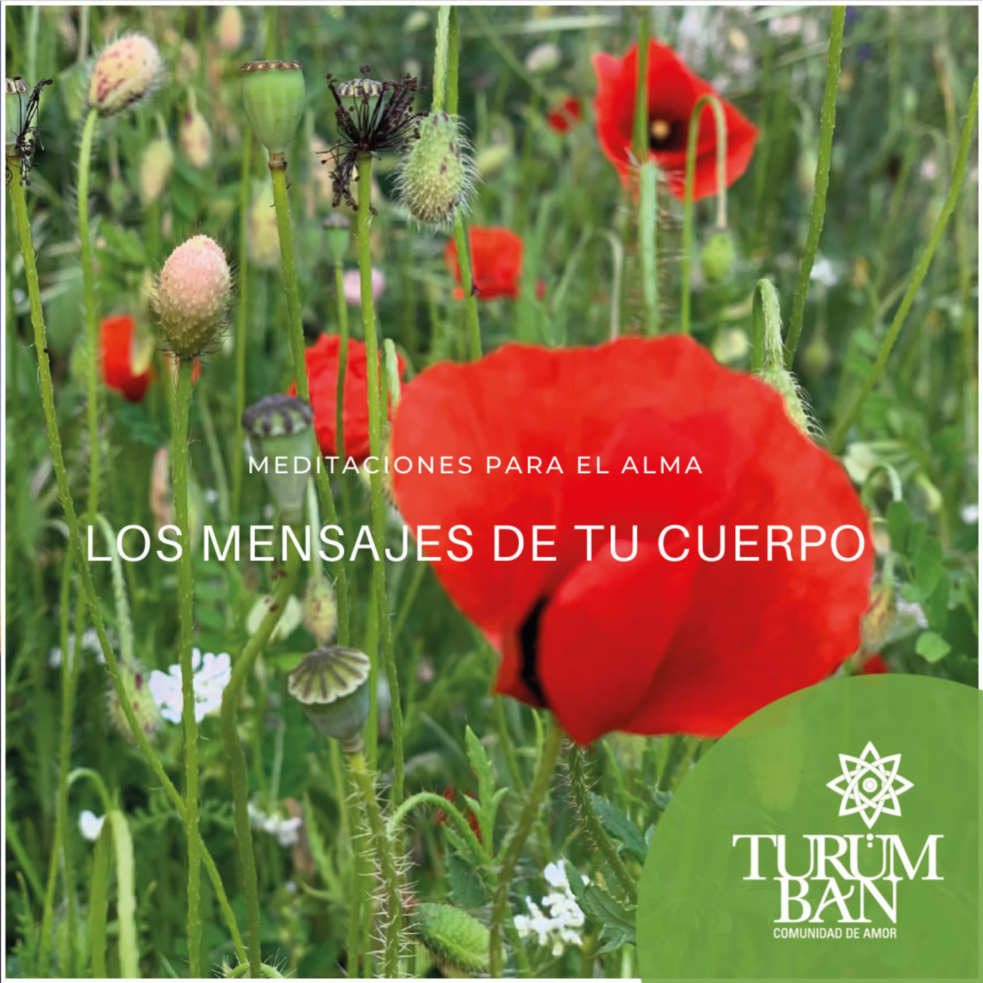 Meditaciones para el Alma