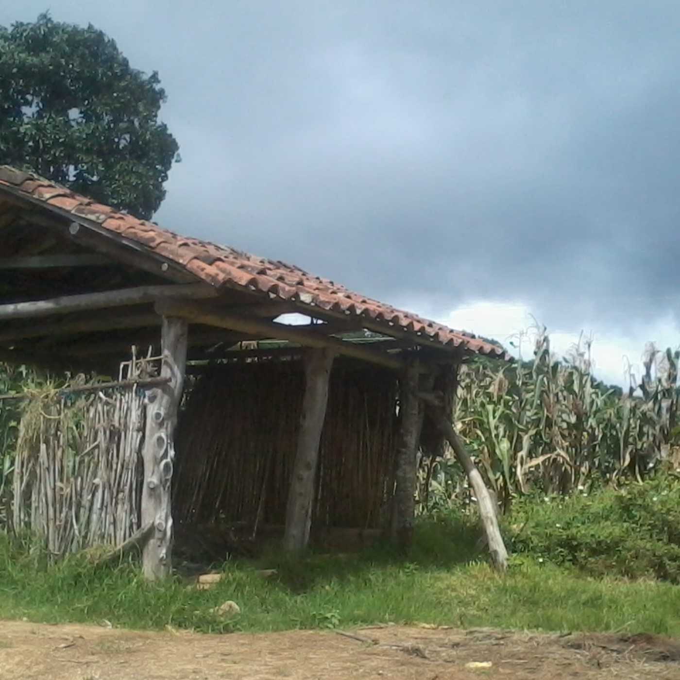 Chimaltenango Multicultural Radio