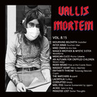 Vol. 8.15 Ahí Va La Larga