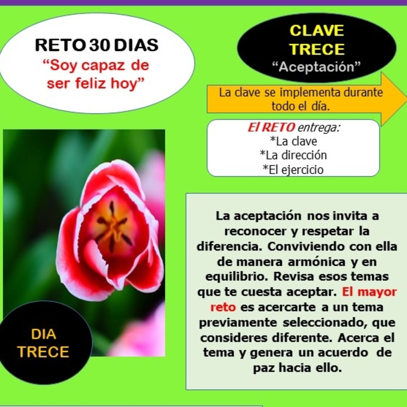 RETO 30 DÍAS \