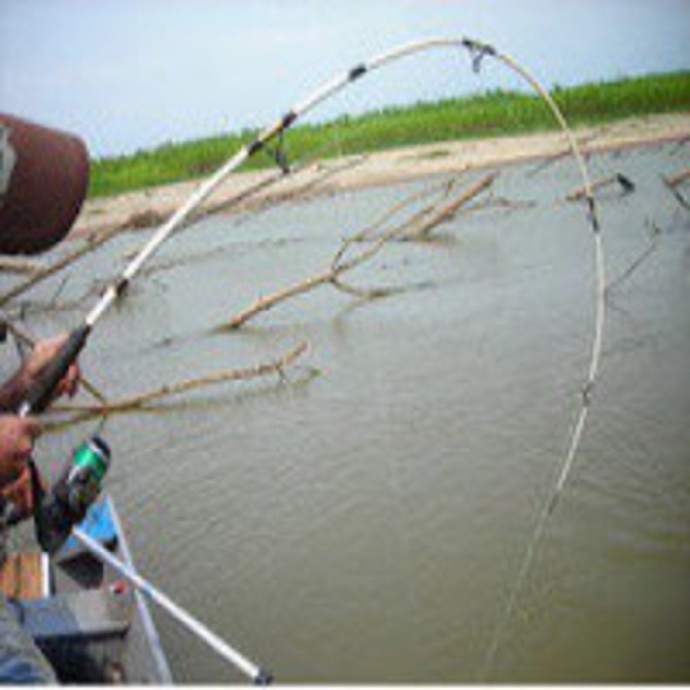 Podcast DIAL DE PESCA