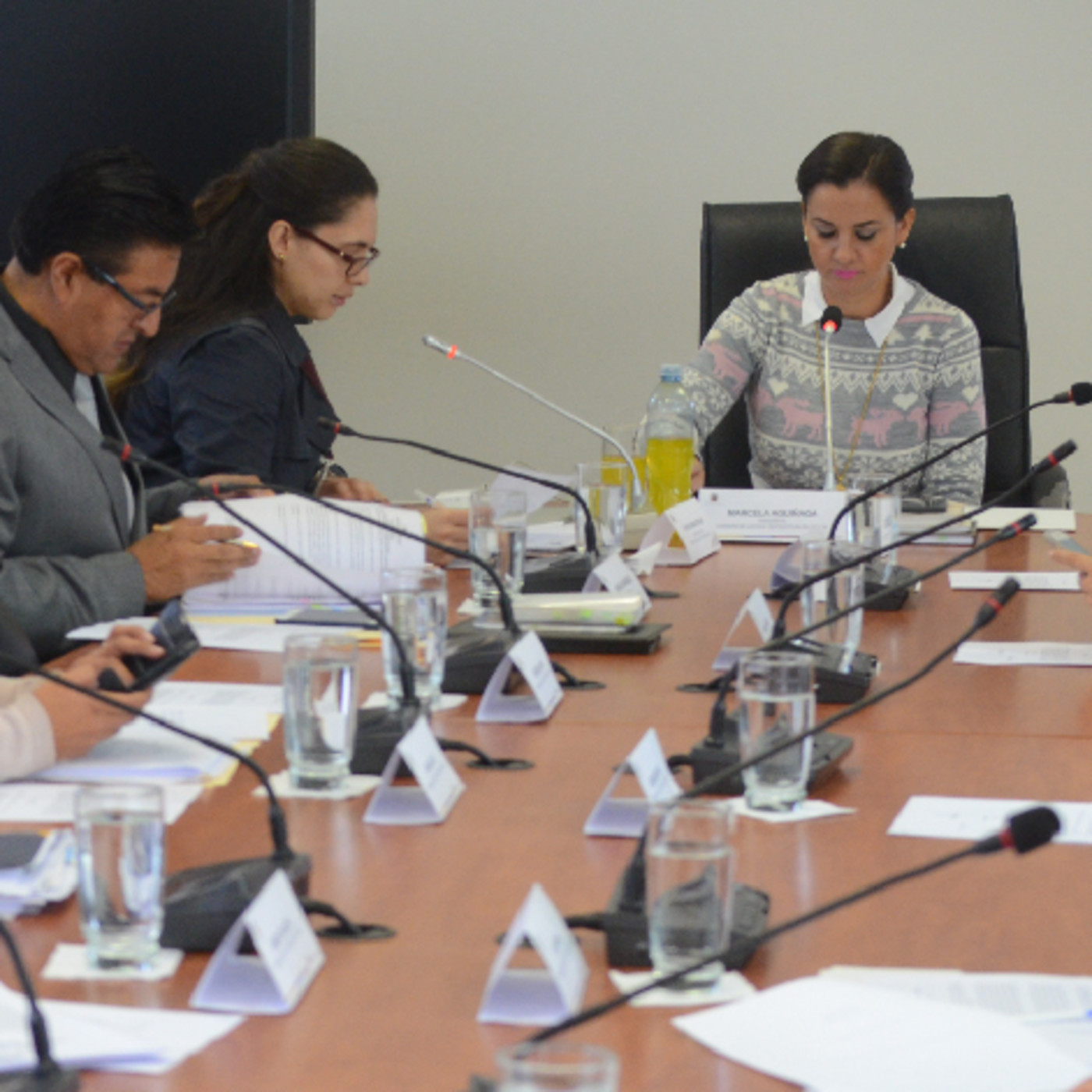 Comisión de Justicia - Asamblea Nacional