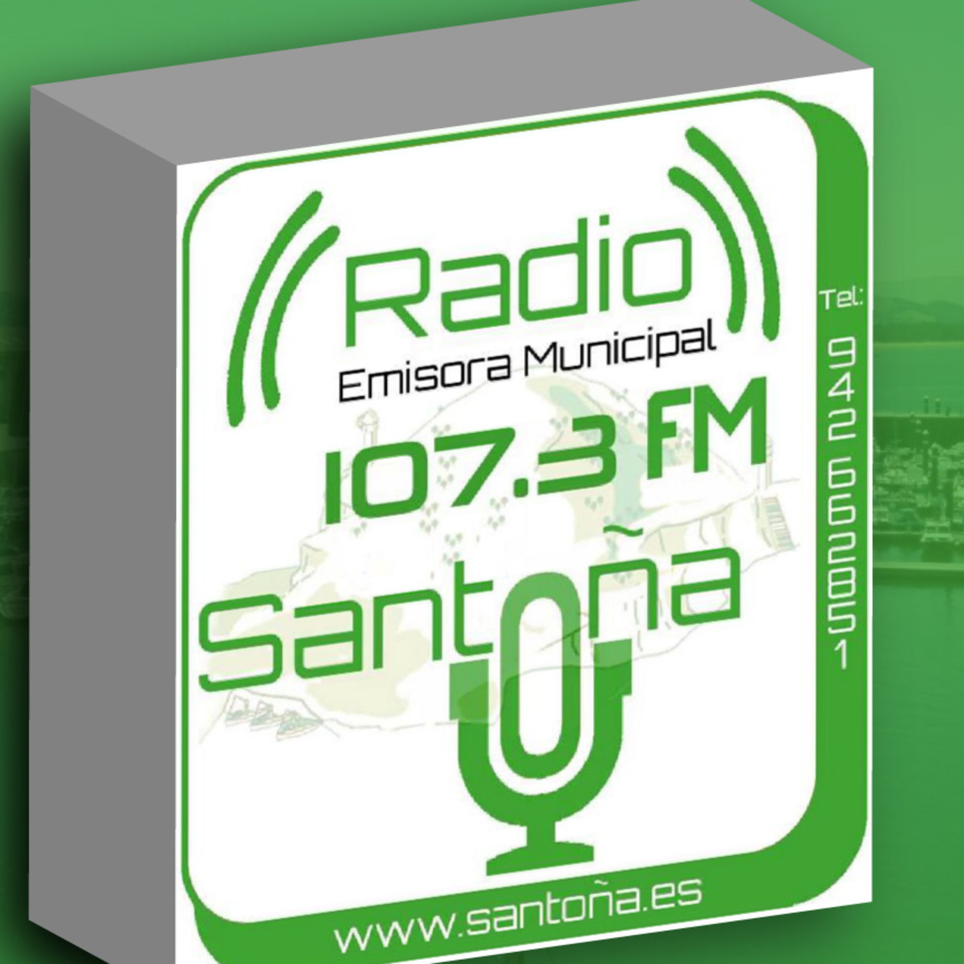 Pleno del Ayuntamiento de Santoña