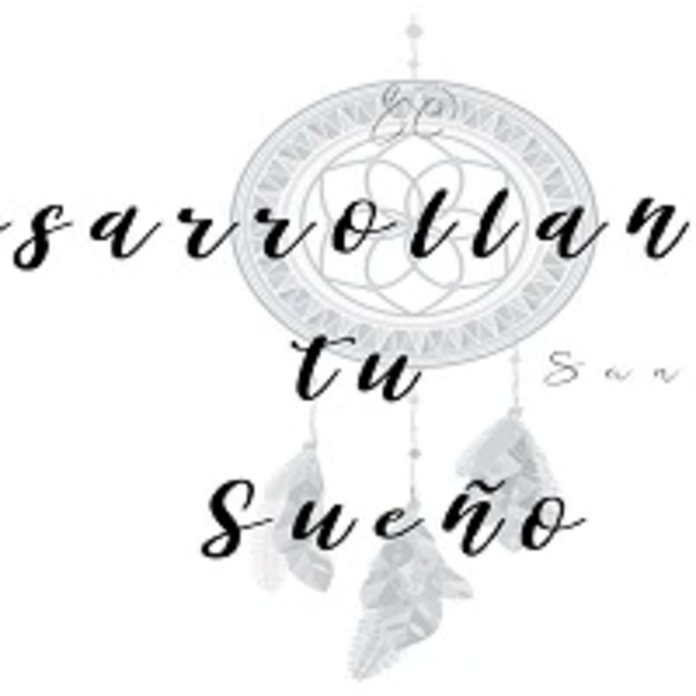 Desarrollando tu sueño. 201119 p060