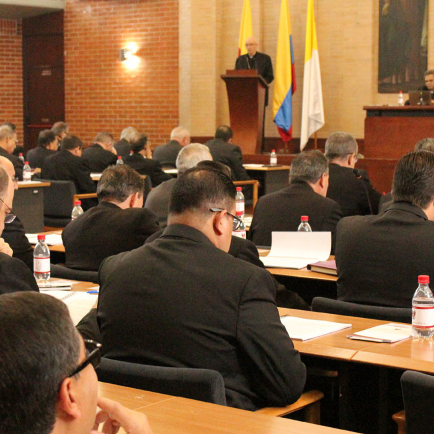 Asamblea Plenaria 102