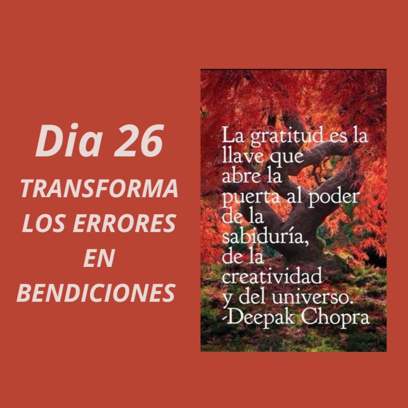 La gratitud atrae felicidad