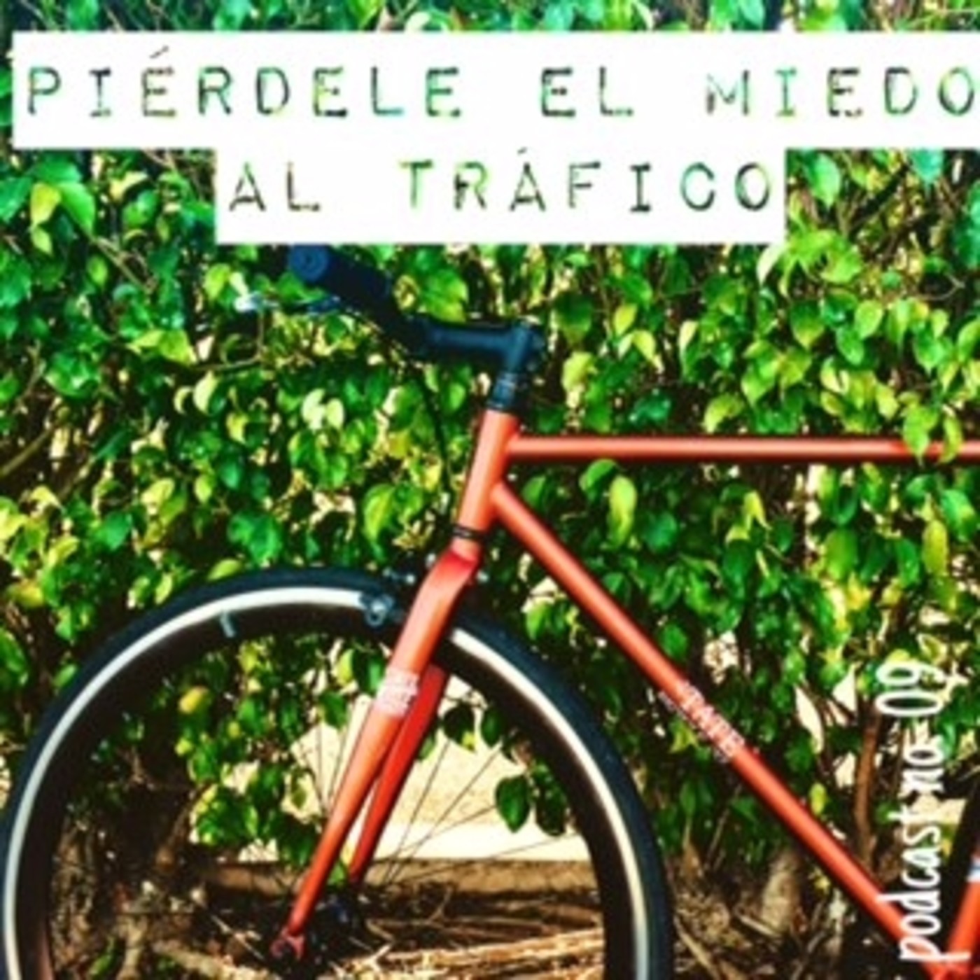 Muévete en Bici en Puerto Rico
