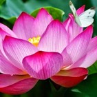 Deva Premal Moola Mantra (38 min)