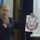 Especial Latinoamericano de Oro - Silvio Fernandez