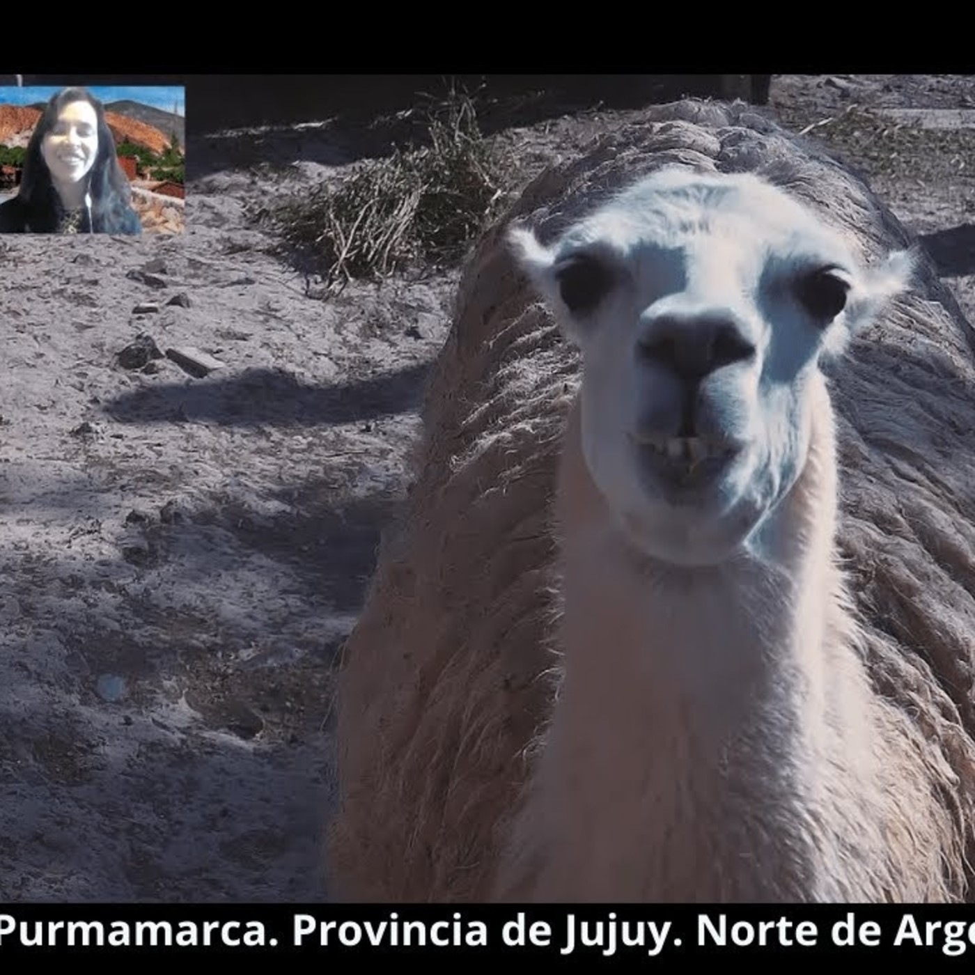 VIAJAR ES MUNDIAL