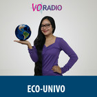 Programa 2 - 2017