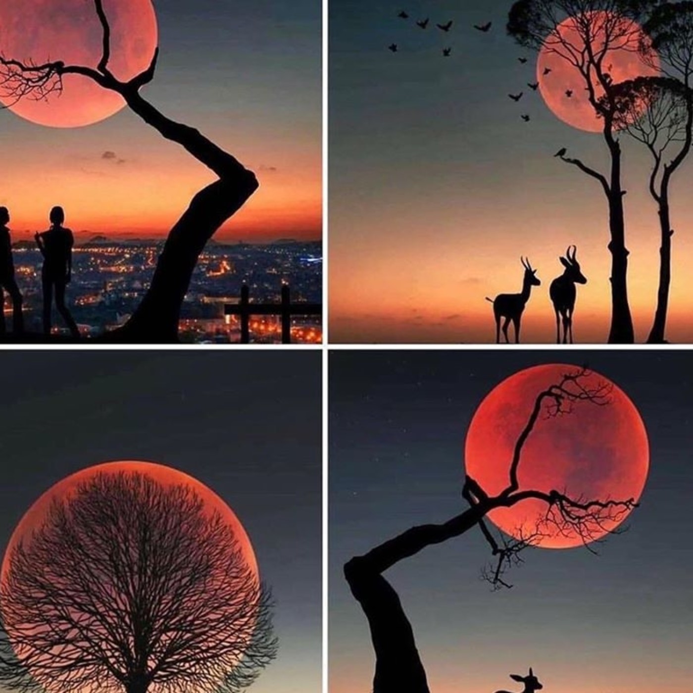 El jardín de los epicúreos