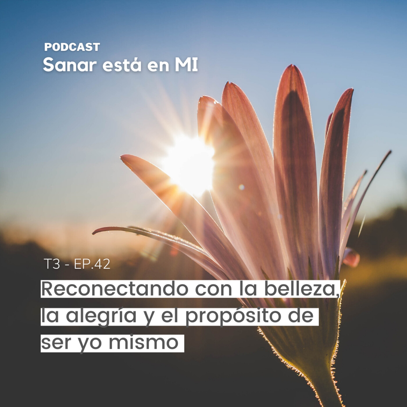 Reconectando con la belleza, la alegría y el propósito de ser yo mismo episode artwork