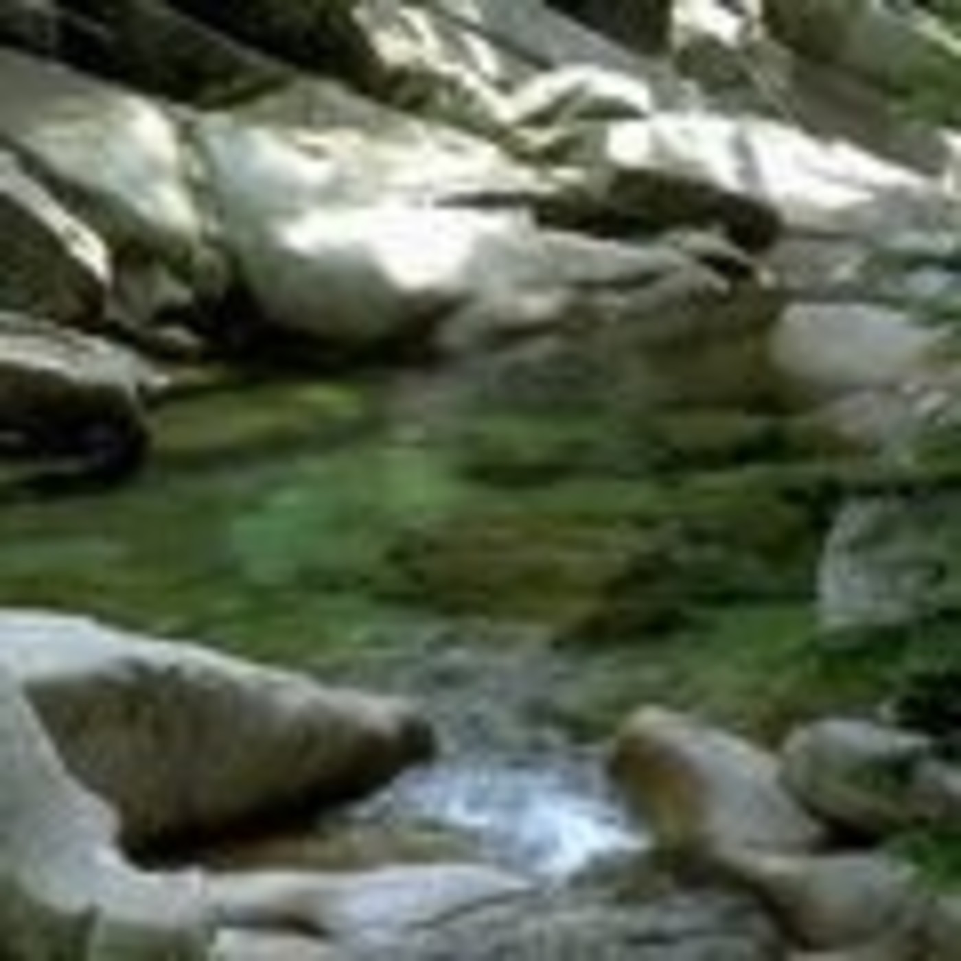 MEDITACIONES GUIADAS