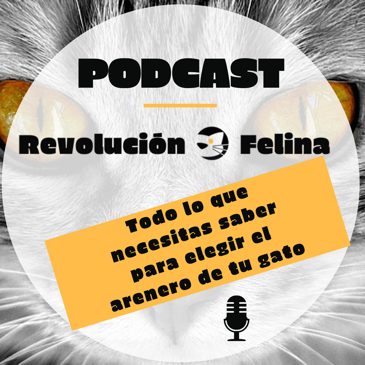 Revolución Felina