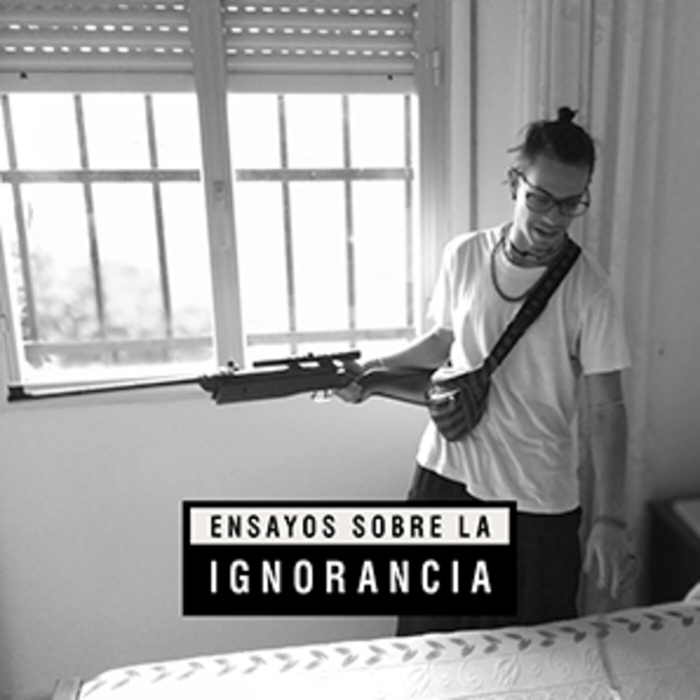 Ensayos sobre la ignorancia