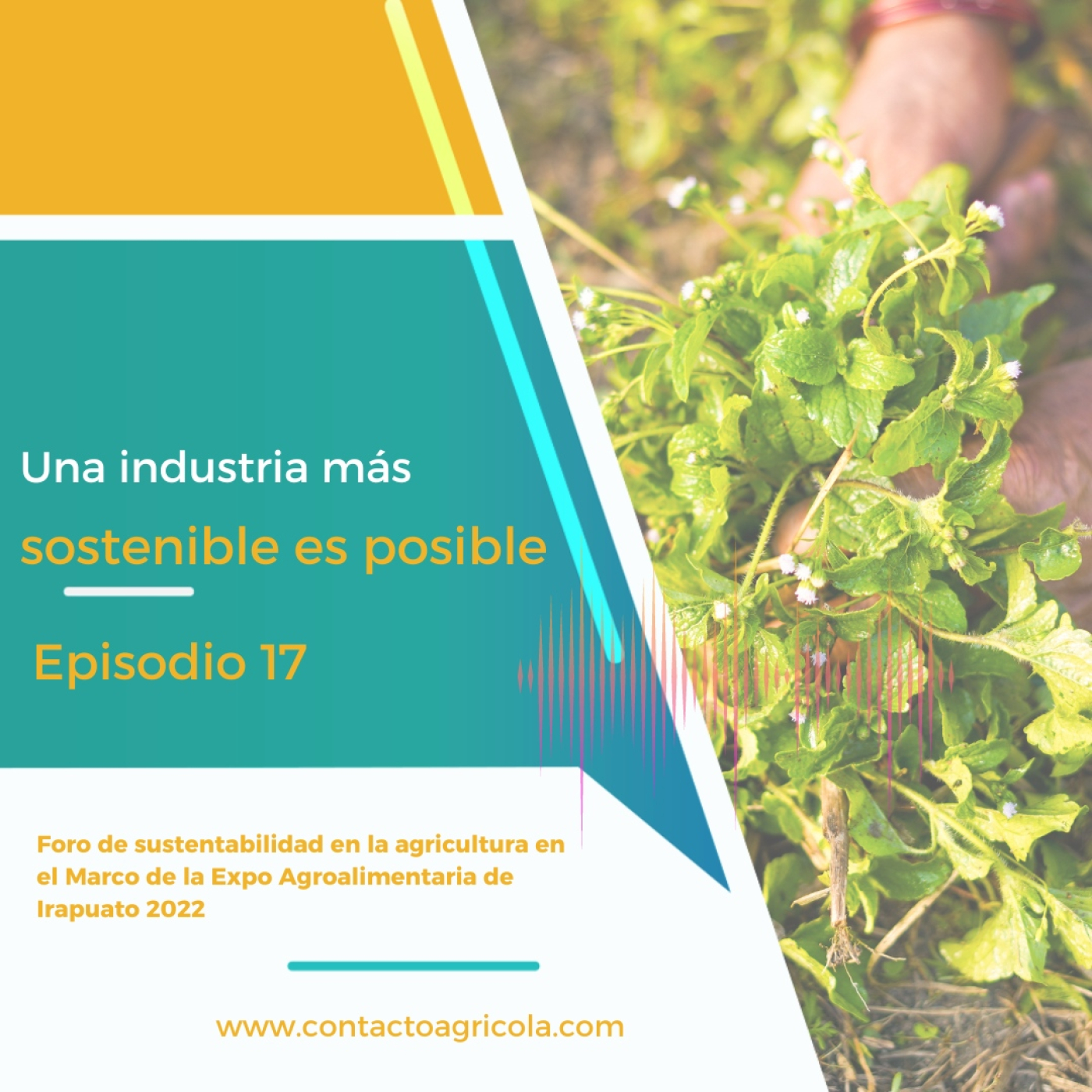 Contacto Agrícola