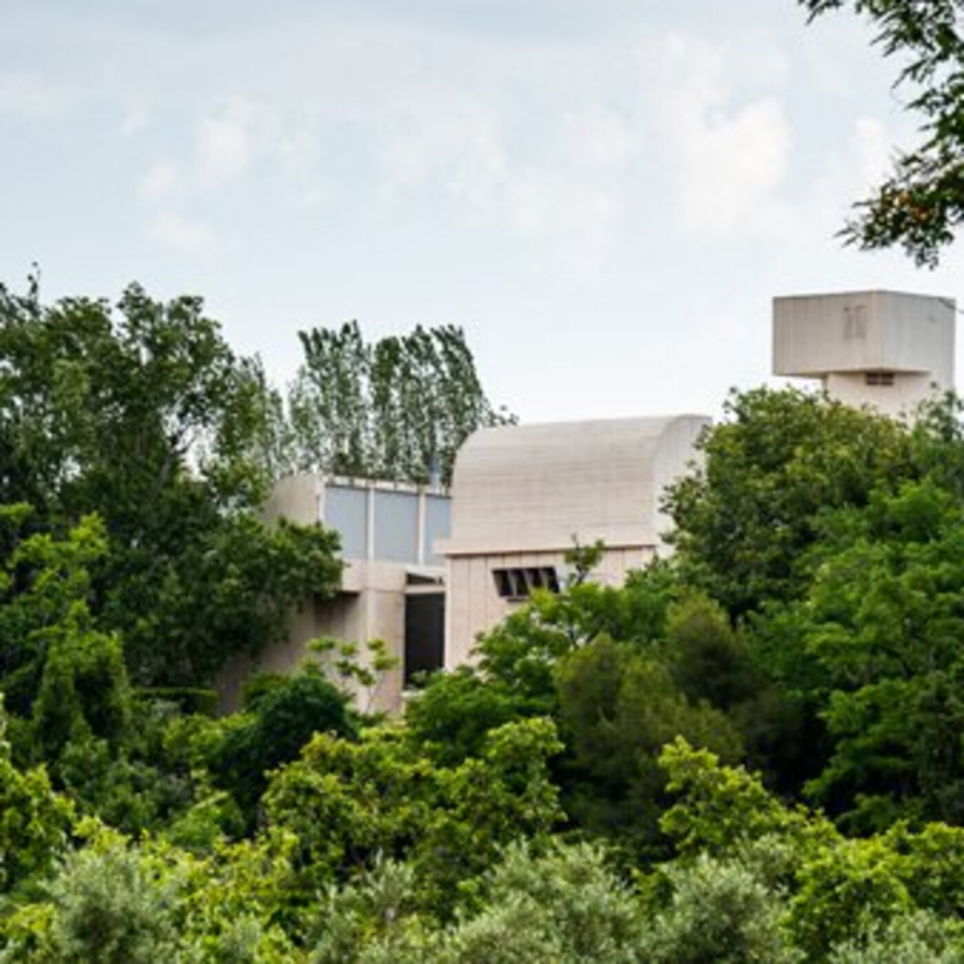 Anar al museu amb família