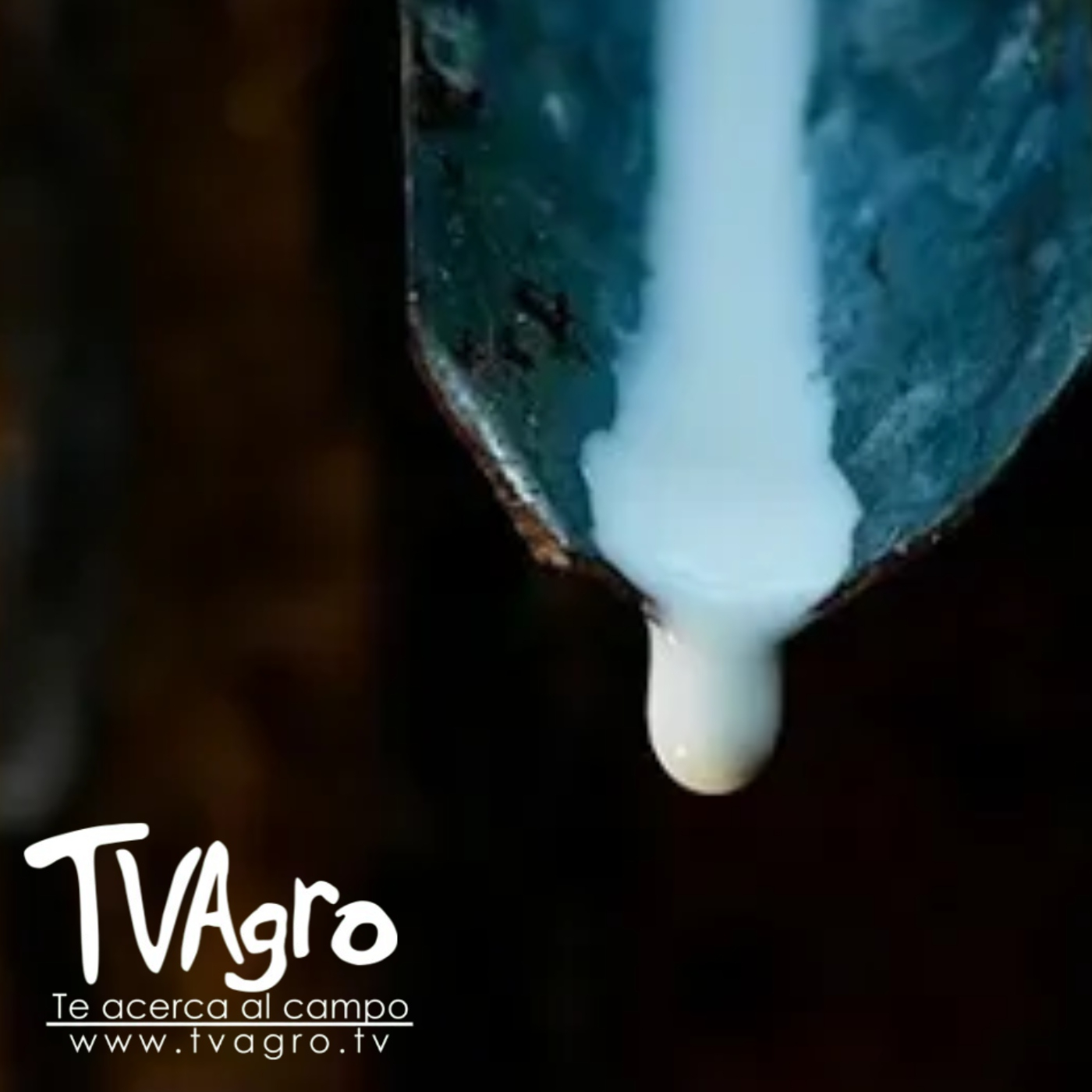 TV AGRO