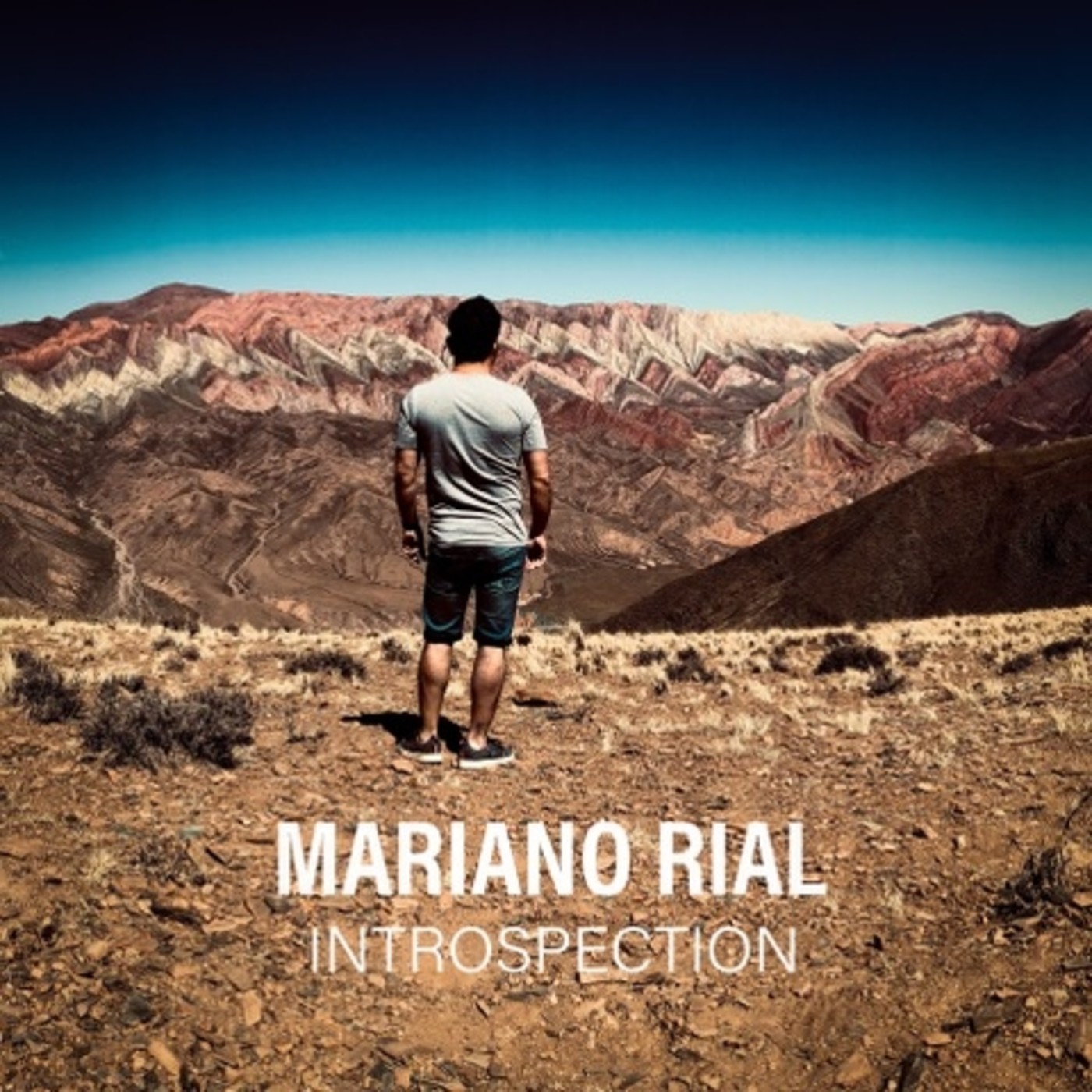 Introspection