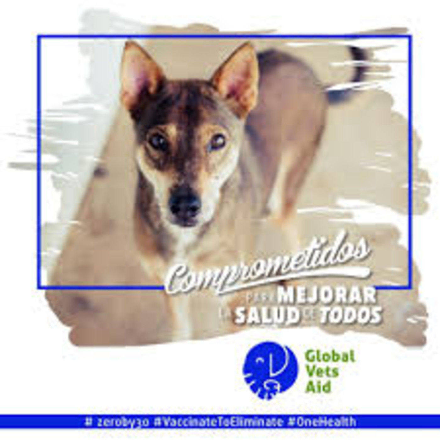 Nuestras Mascotas - Global Vet Aid Nepal