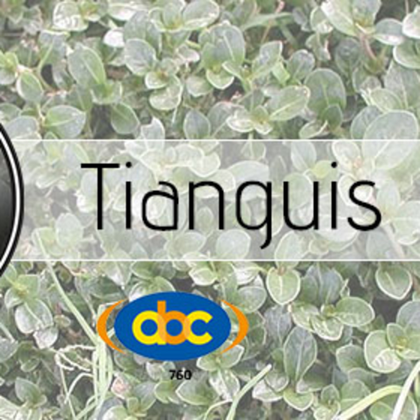 El Ángel de tu Salud - TIANGUIS episode artwork