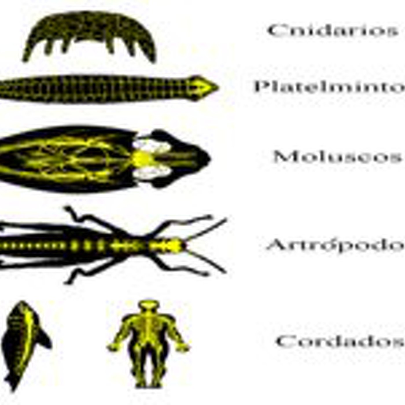 150114 Trobada amb la ciència - L'evolució biològica al nostre planeta