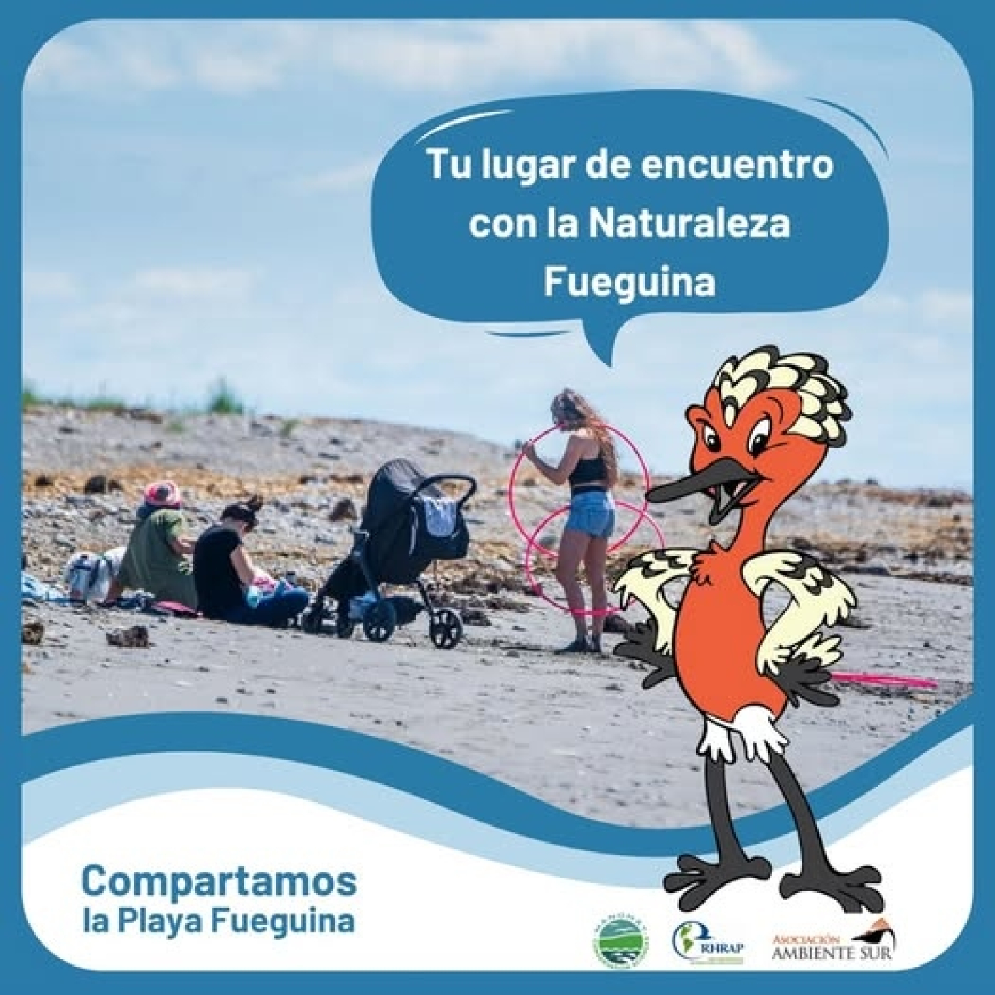 Eco Vida Ambiente