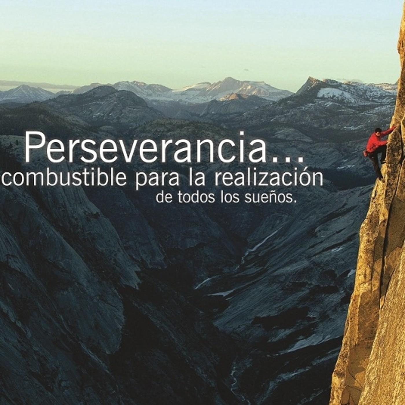 No te rindas ante el rencor y ábrete al perdón